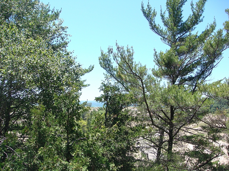 Western Michigan [2010] 032.JPG - Scenes from our trip to Western Michigan. Some places along the way were Ludington, Sleep Bear Dunes, and Traverse City.